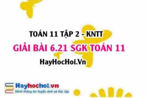 Bài 6.21 SGK Toán 11 Tập 2 Kết nối tri thức